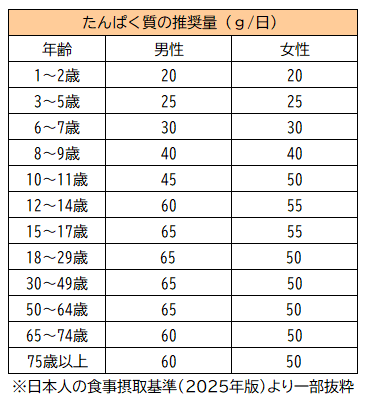 たんぱく質の推奨量